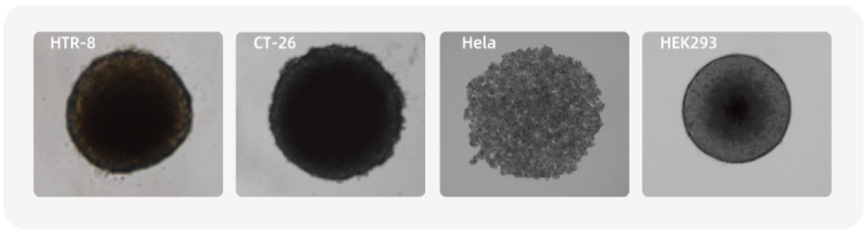 【英文】 产品页面配图-生科 超低吸附1 2025-1126