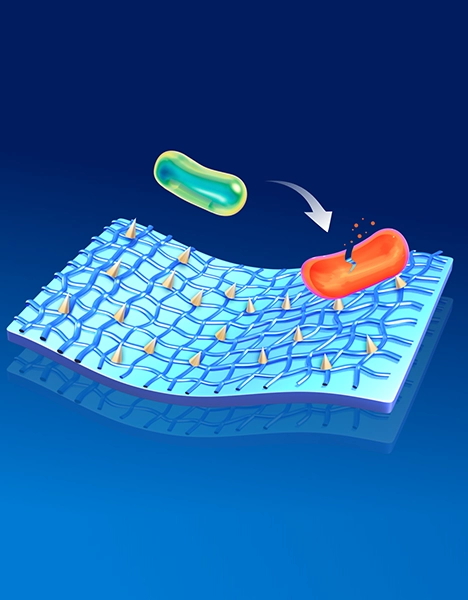 Bashock® Antimicrobial Coating