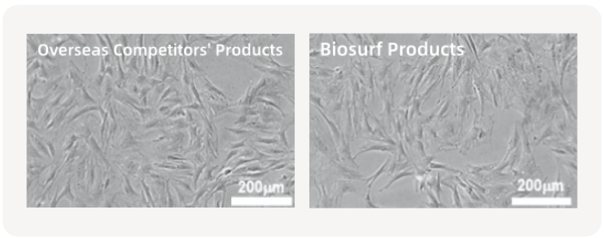 【英文】 产品页面配图-生科 高黏附1 2025-1126