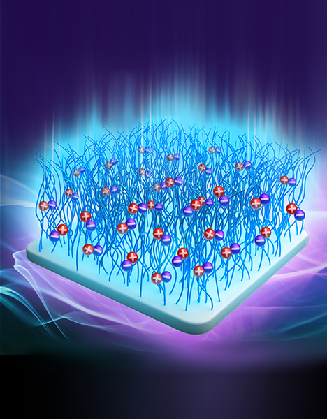 2.SurfInert® Phosphorylcholine Anticoagulant Coating