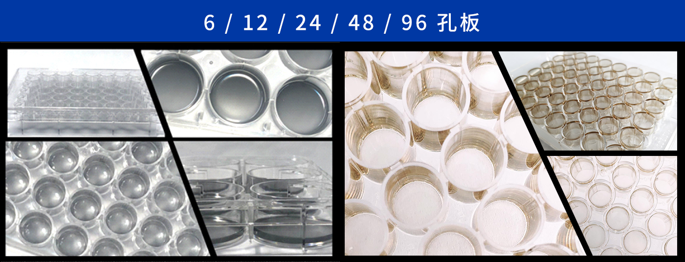 612244896 well plate