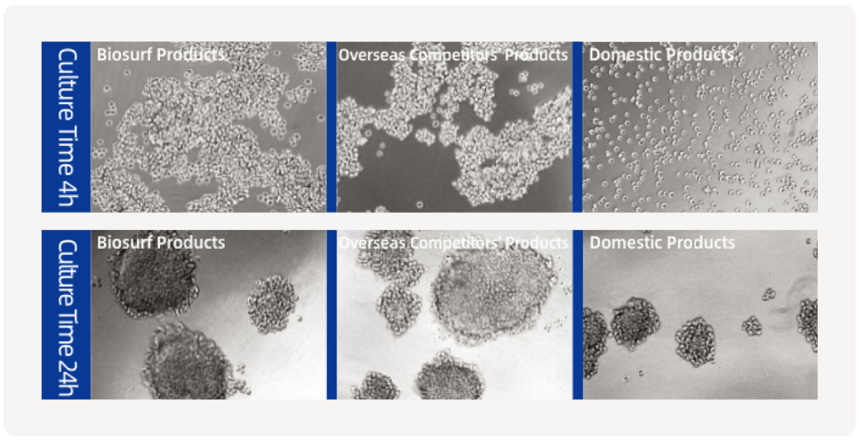 【英文】 产品页面配图-生科 超低吸附2 2025-1126