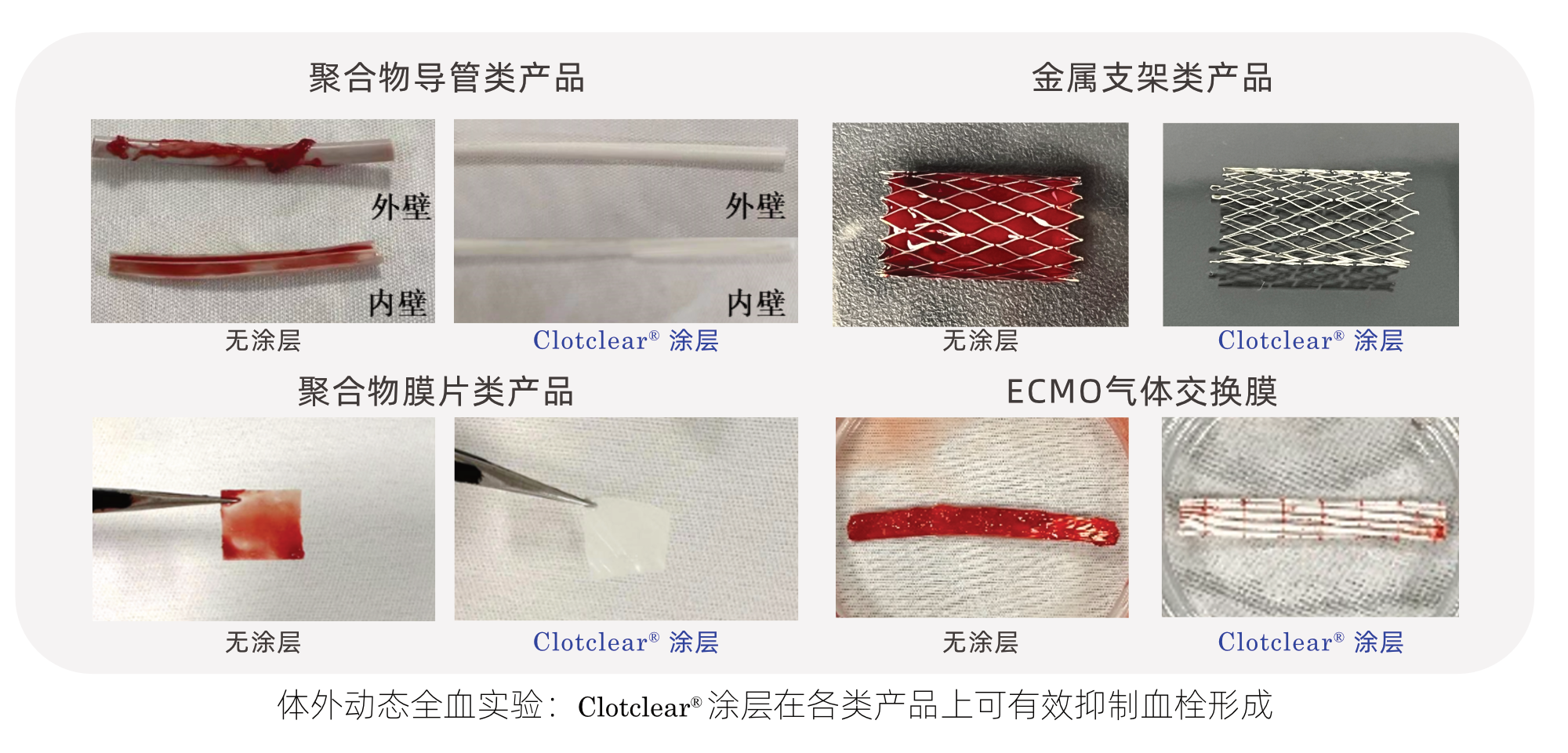 WeChat picture_20240607155534