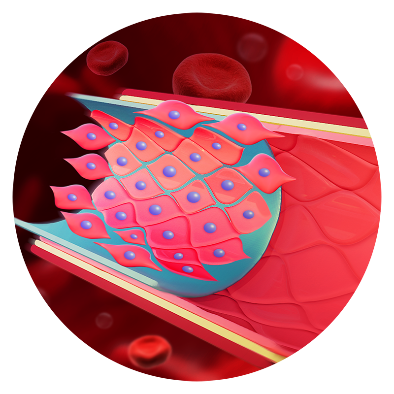 WeChat picture_20240617131114