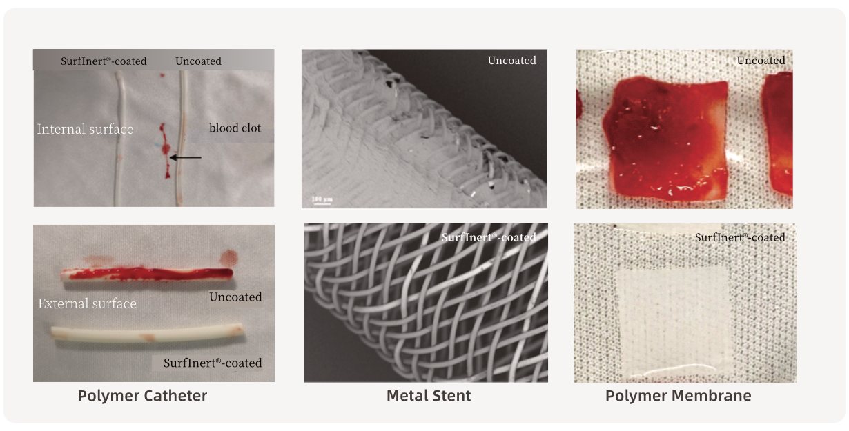 【英文】 产品页面配图-磷酰胆碱涂层3 2025-1122