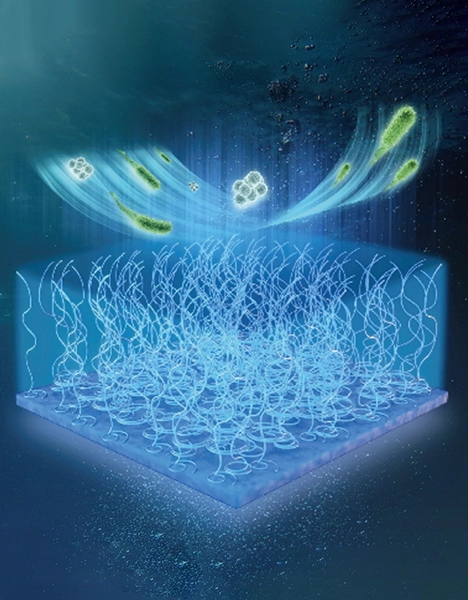 Baclear® Bacteria-resistant & Lubricious Coating